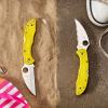 imageSpyderco Salt 2 Wharncliffe Knife with 29quot H1 UltraCorrosion Resistant Steel Blade and Lightweight Yellow FRN Handle  SpyderEdge  C88SWCYL2Yellow  Wharncliffe